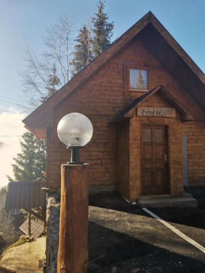 Vikendica Ceperkovic #3 Villa Kopaonik Exteriör bild